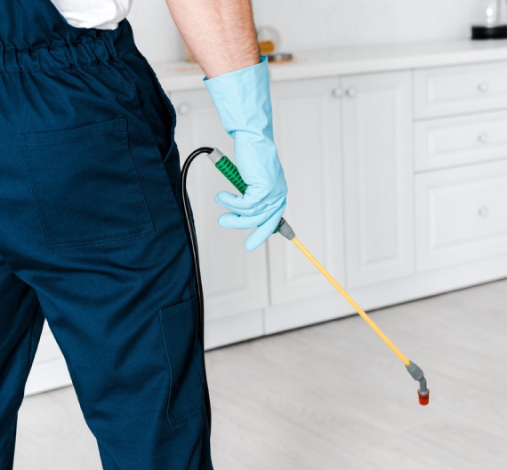24x7 pest control services in sydney